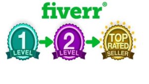 what are fiverr levels 